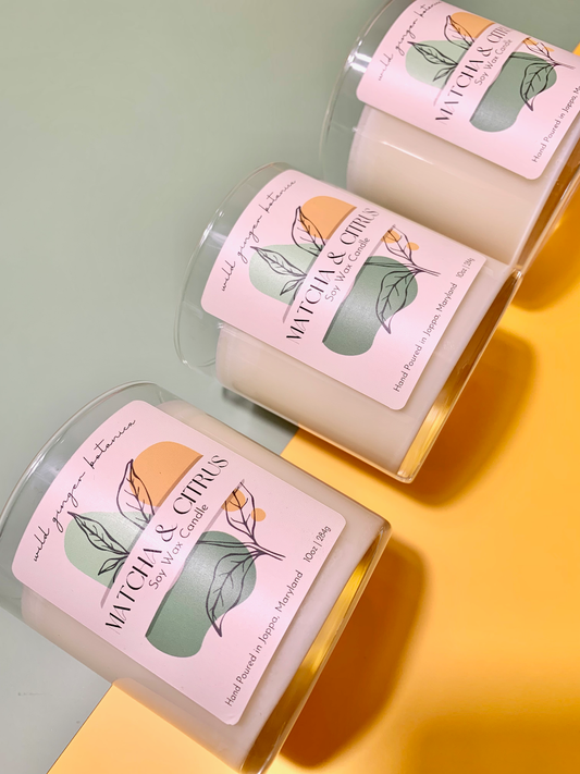 Matcha & Citrus - 10oz Candle